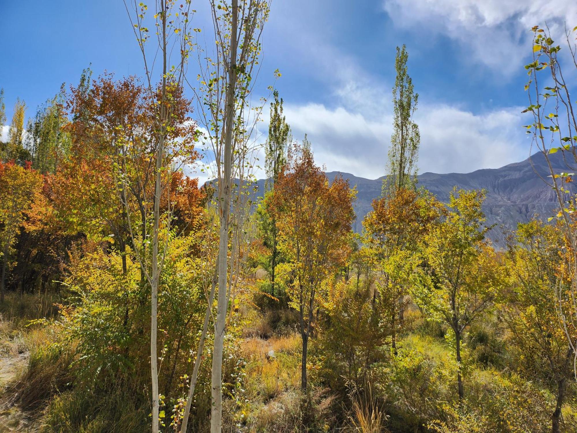 Lharimo Hotel Leh - Ladakh Экстерьер фото