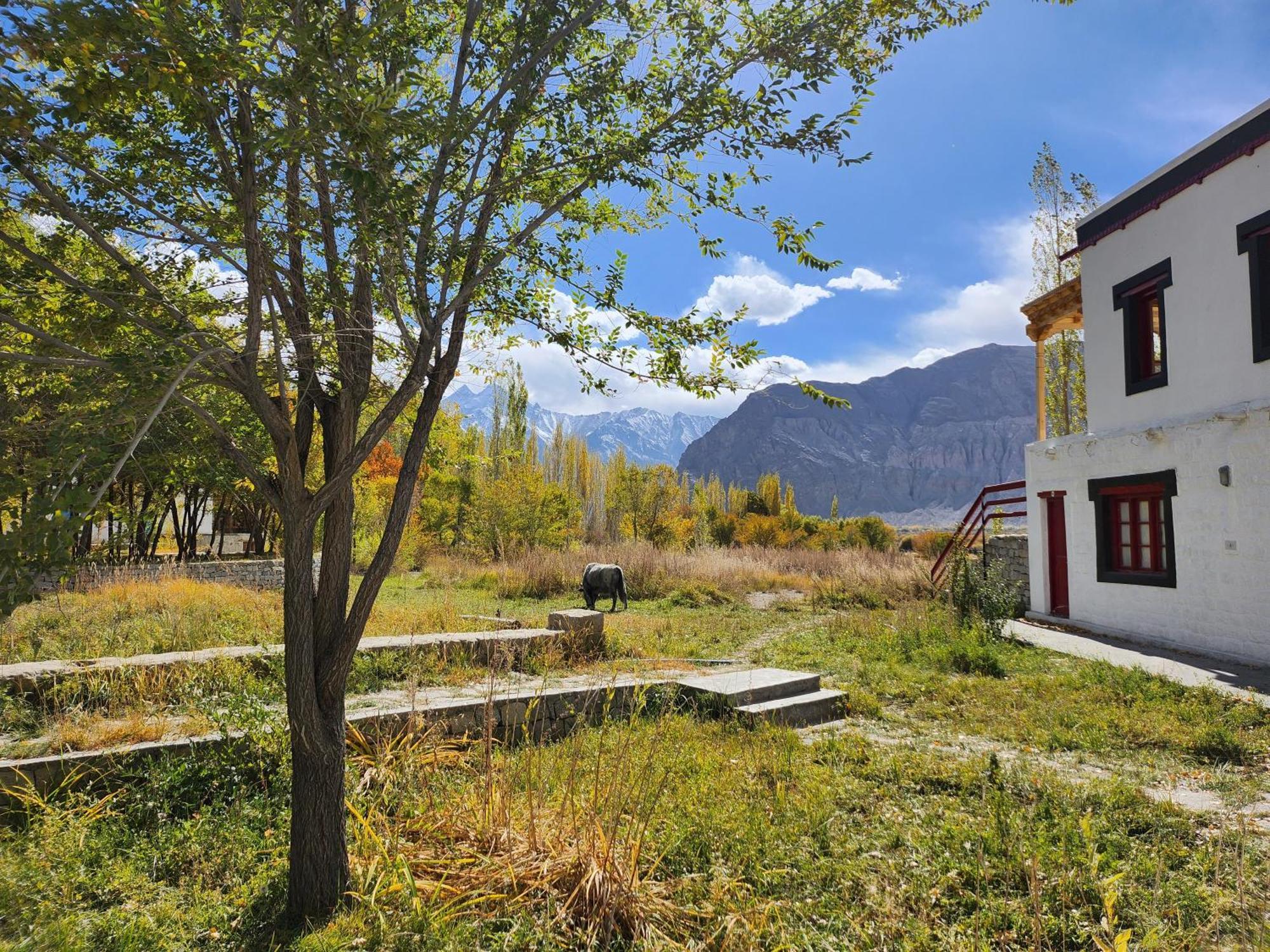 Lharimo Hotel Leh - Ladakh Экстерьер фото