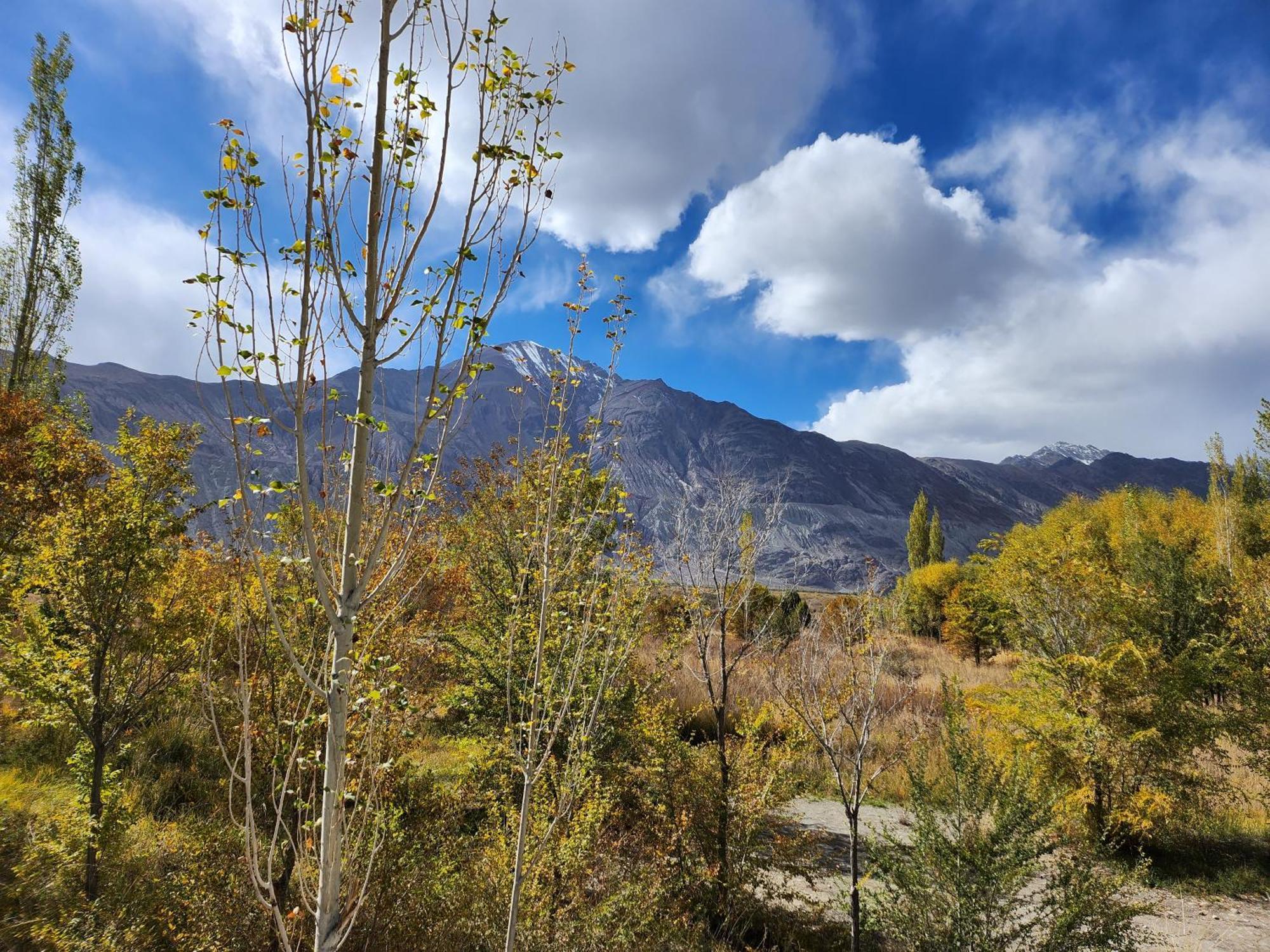 Lharimo Hotel Leh - Ladakh Экстерьер фото