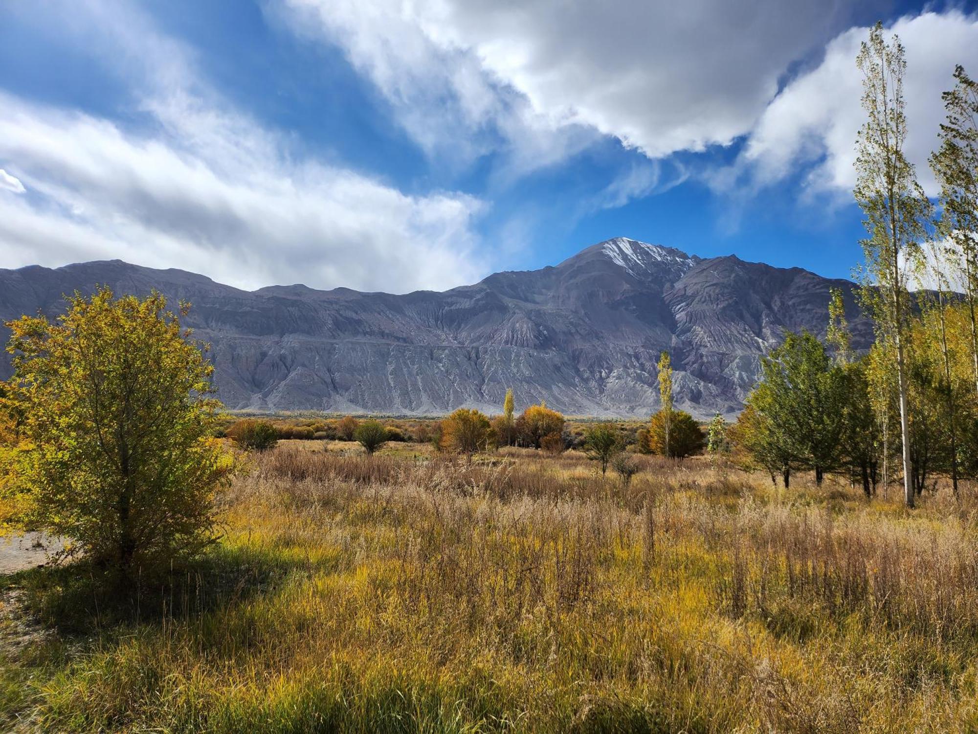 Lharimo Hotel Leh - Ladakh Экстерьер фото