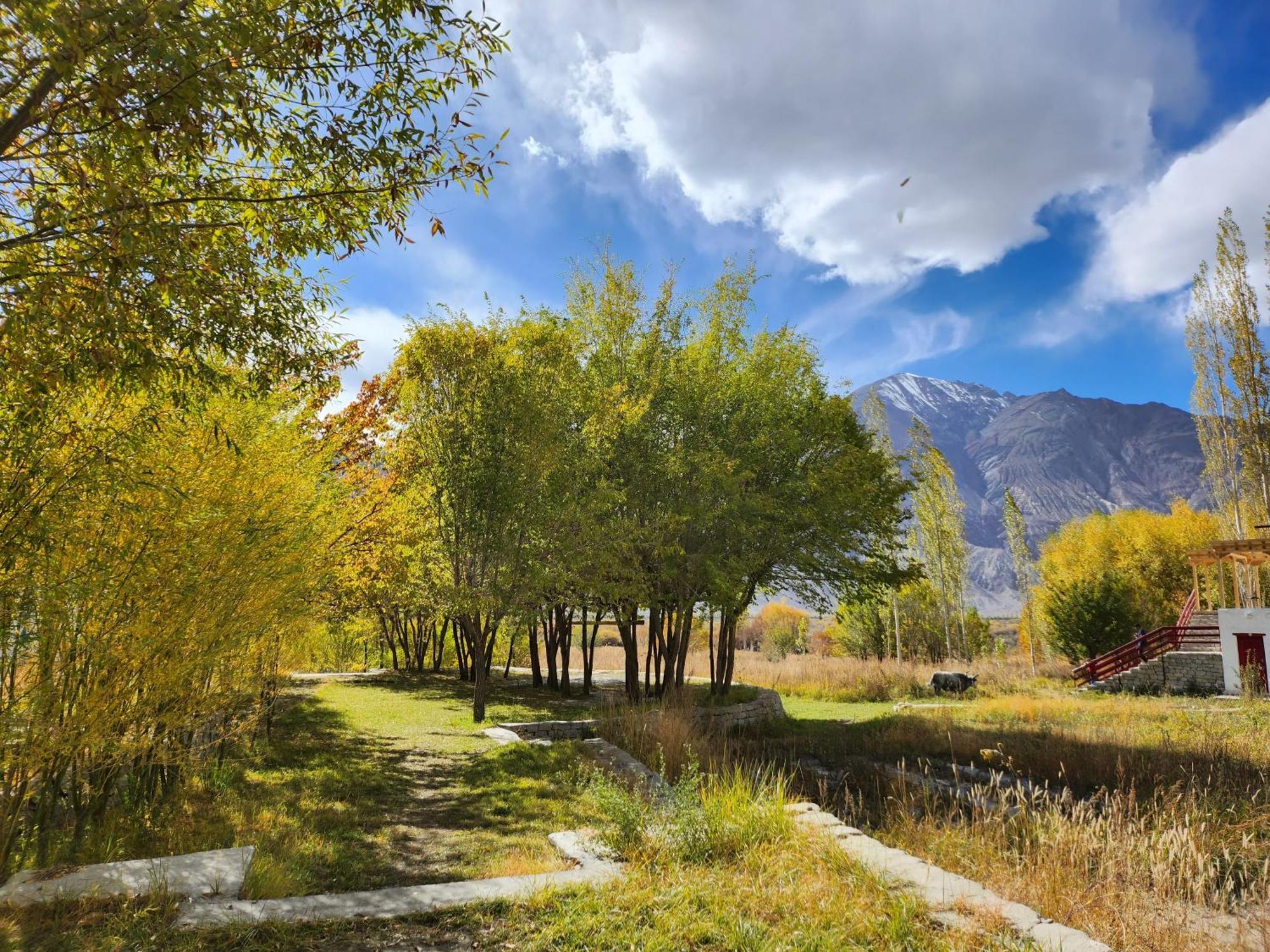 Lharimo Hotel Leh - Ladakh Экстерьер фото