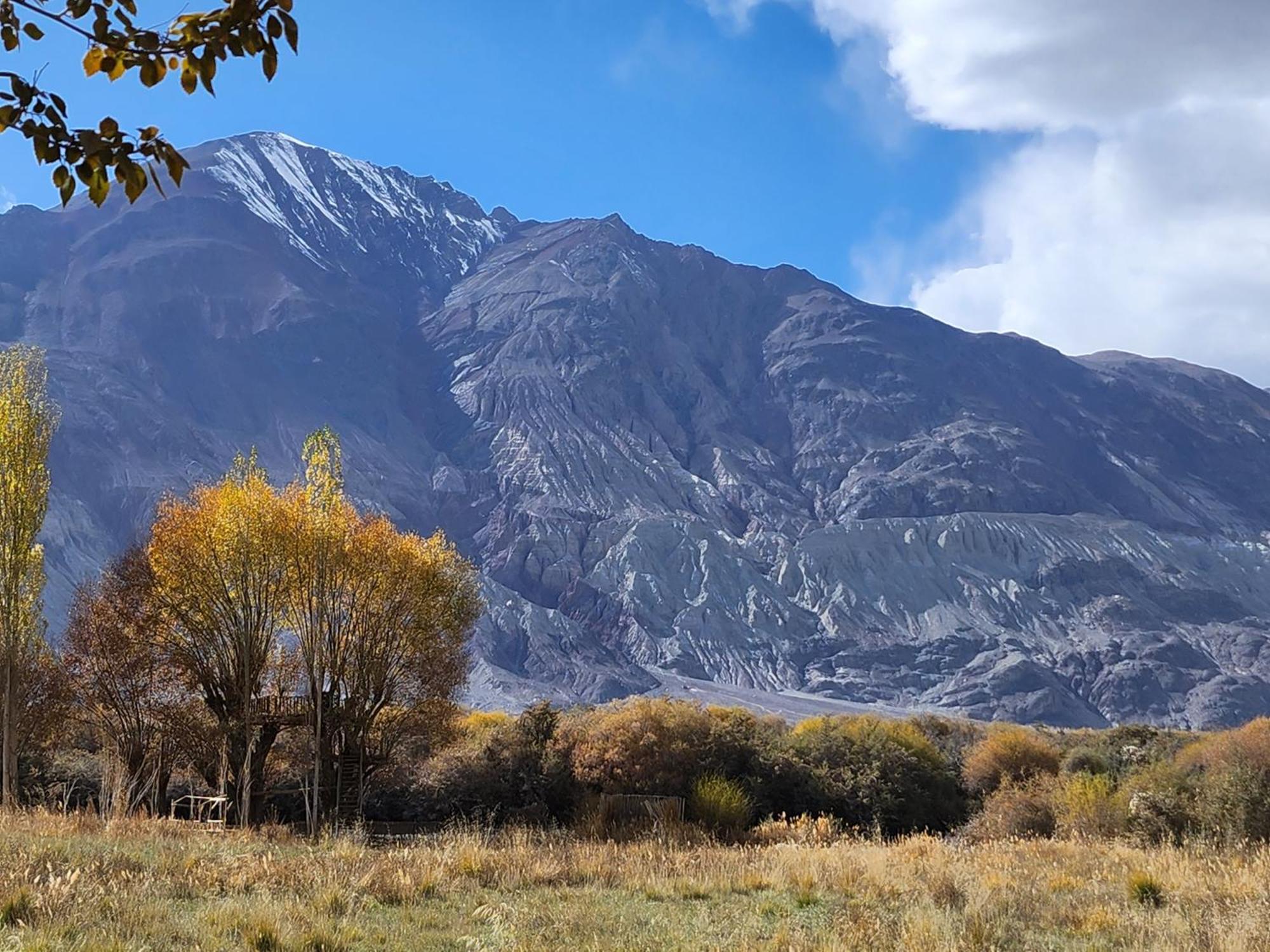 Lharimo Hotel Leh - Ladakh Экстерьер фото