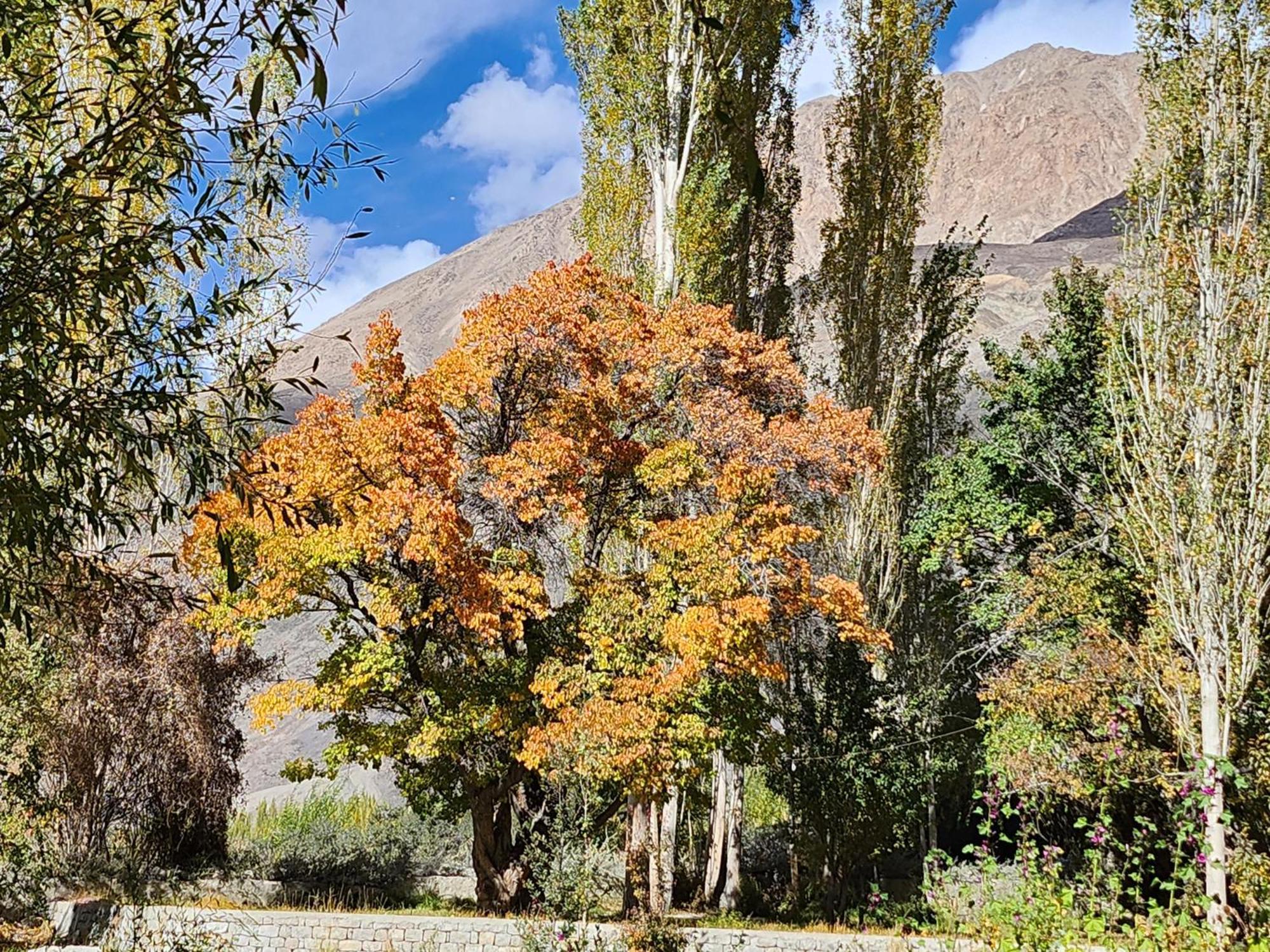 Lharimo Hotel Leh - Ladakh Экстерьер фото