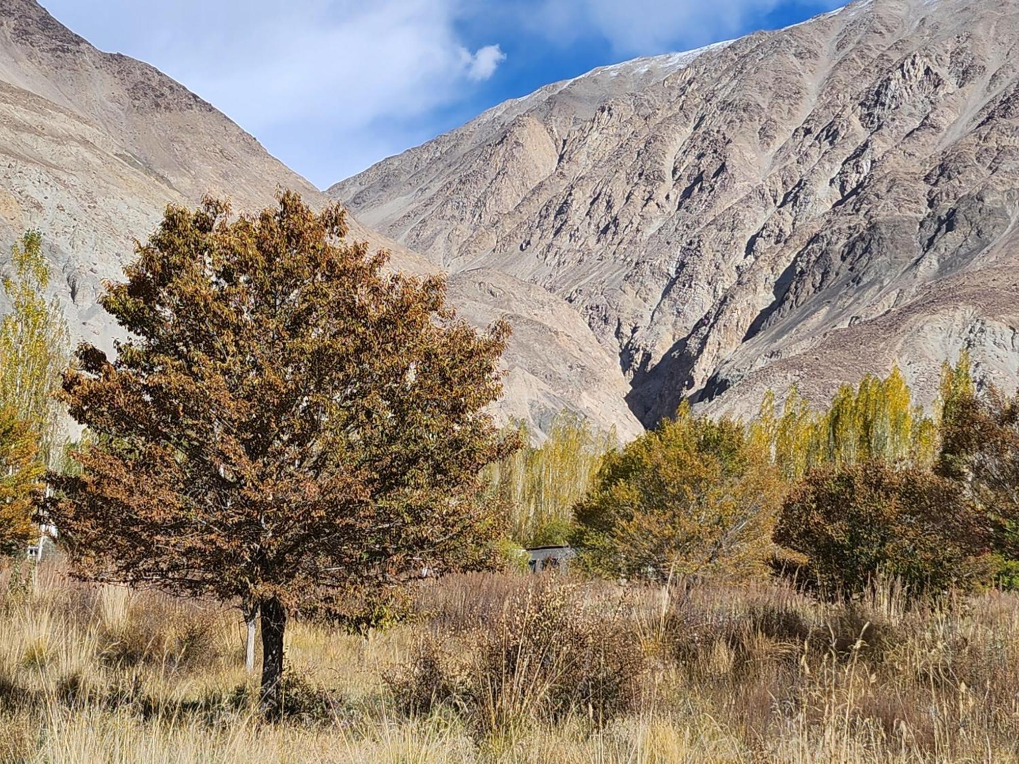 Lharimo Hotel Leh - Ladakh Экстерьер фото