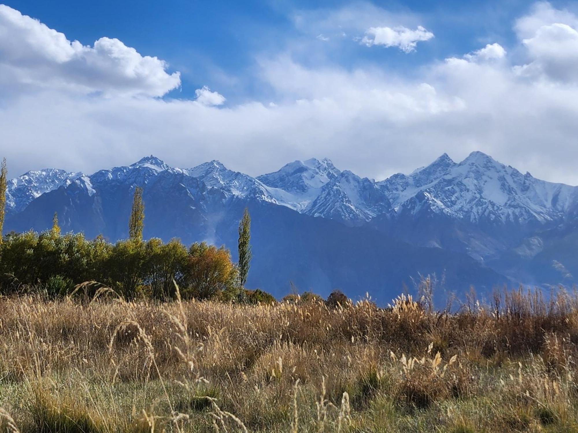 Lharimo Hotel Leh - Ladakh Экстерьер фото